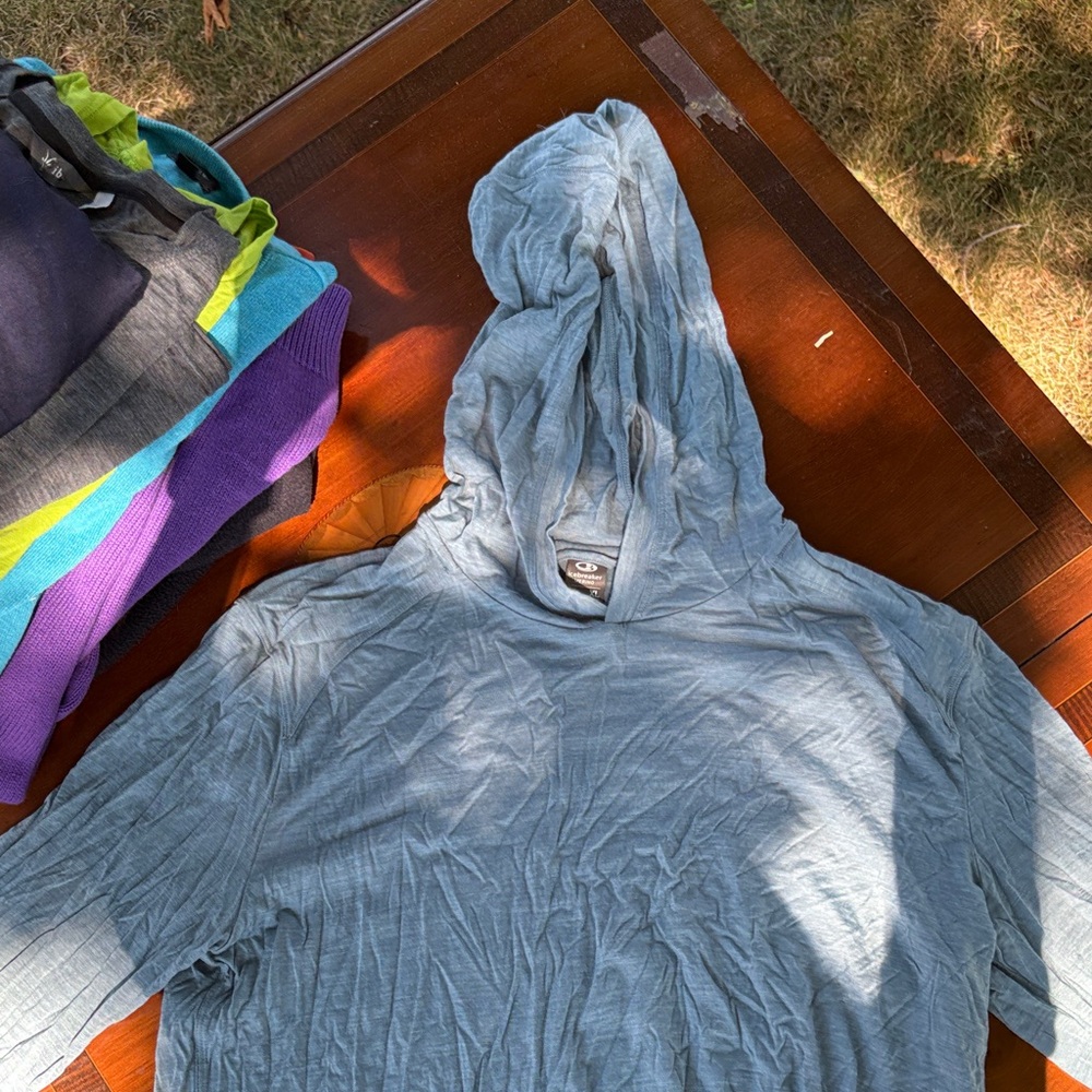 Icebreaker Gray-Blue Hooded Long Sleeve Merino Top